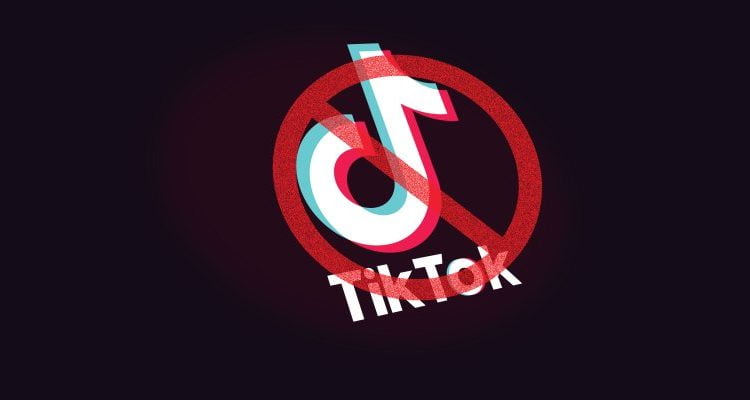 Senate bill seeks to ban Chinese app TikTok from government work phones