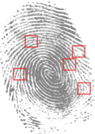 Unsecured database exposes 76,000 fingerprints