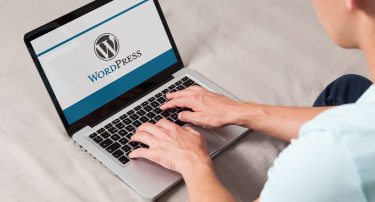 XSS plugin vulnerabilities plague WordPress users