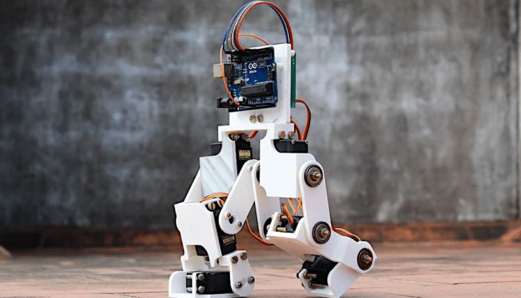 Robotic Biped Walks On Inverse Kinematics