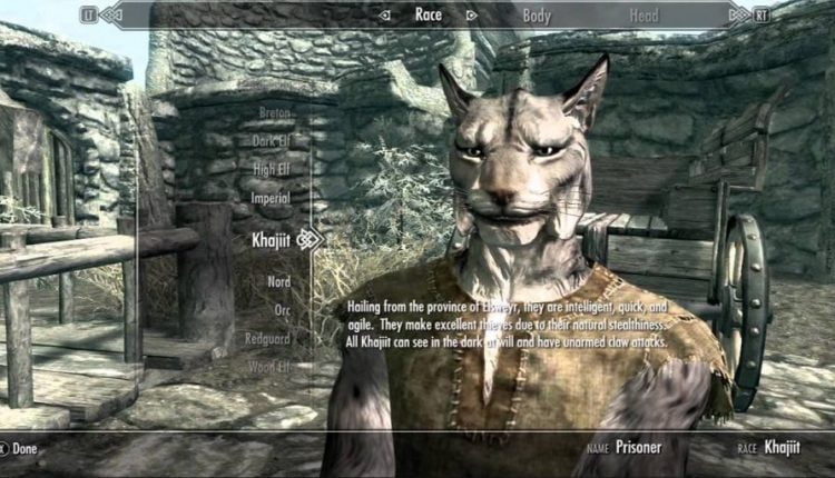Viral Skyrim Video Reveals That Real Cats Hate Khajit