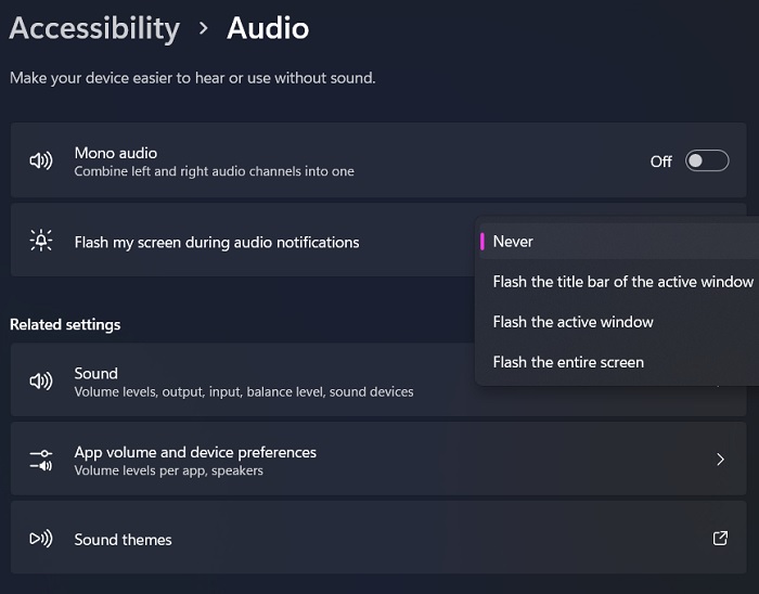Accessibility Main Menu Audio Flash Screen