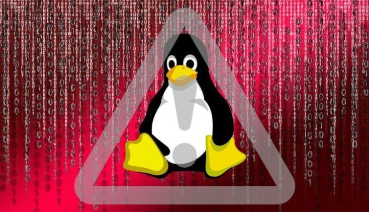 linux malware found high
